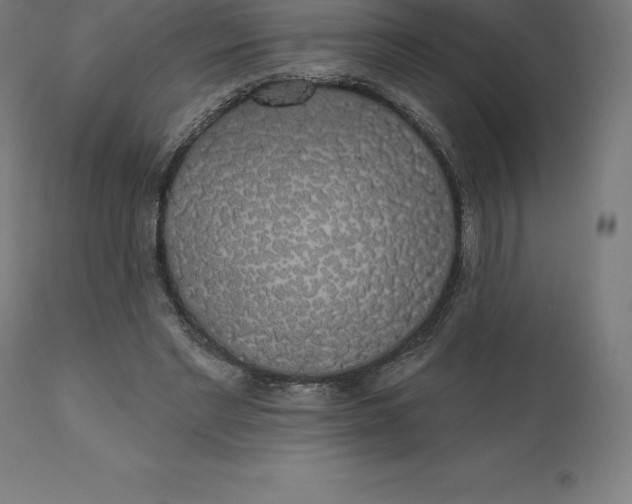 X0000110700493200907022001