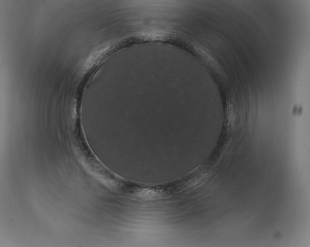 X0000110700494200907022001