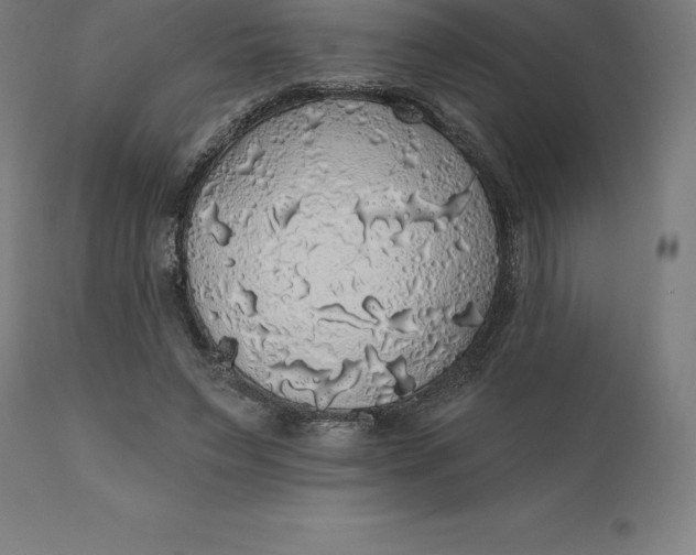 X0000110700495200907022001