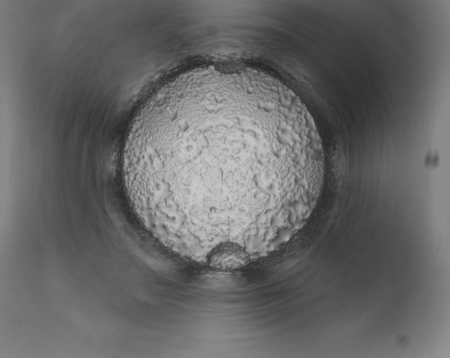 X0000110700499200907022001