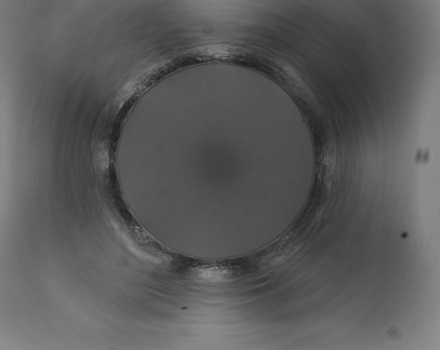 X0000110700500200907022000