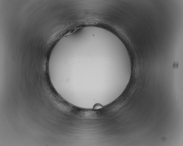 X0000110700501200907022000