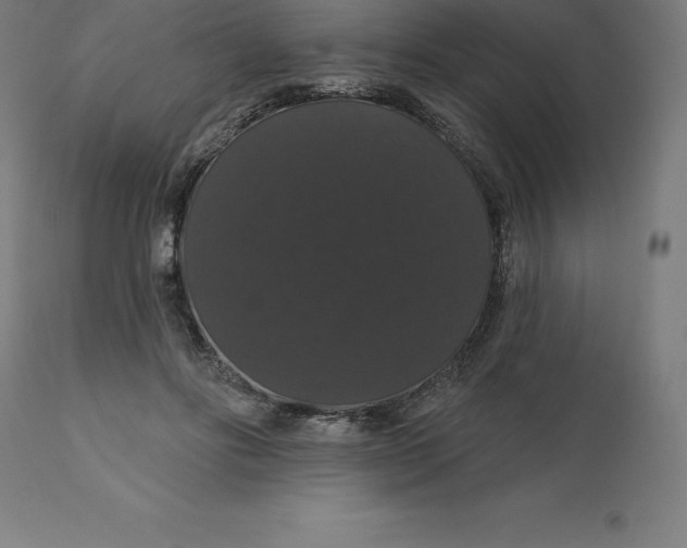 X0000110700502200907022000