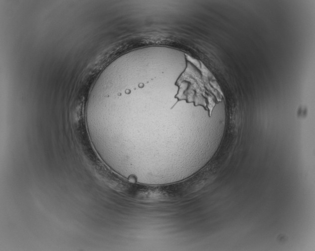 X0000110700503200907022000