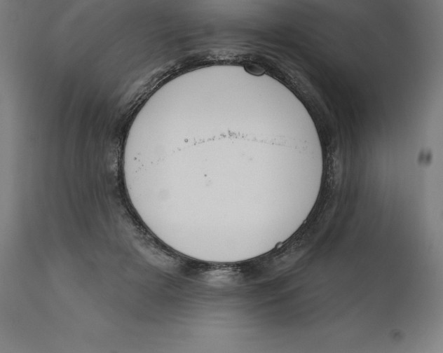X0000110700505200907022000