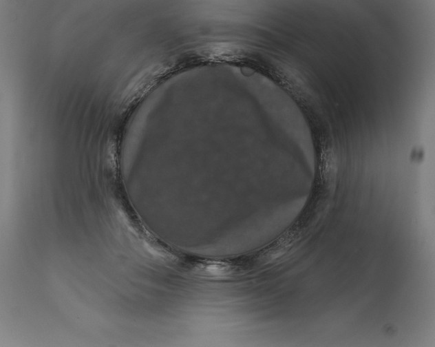 X0000110700506200907022000