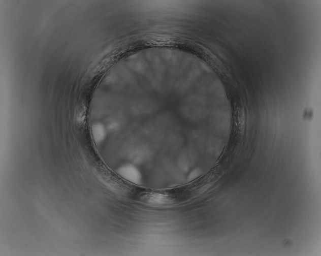 X0000110700507200907022000