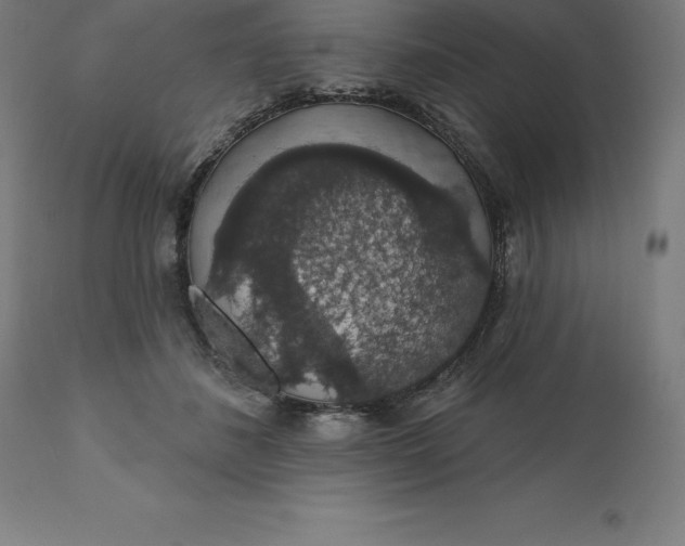 X0000110700508200907022000