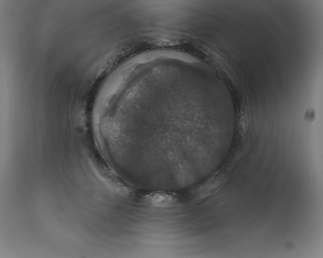 X0000110700512200907022000