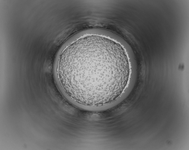 X0000110700513200907022000