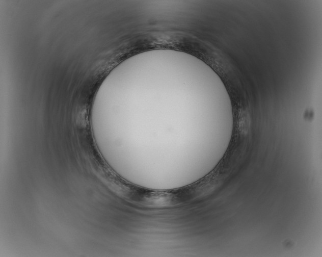 X0000110700514200907022000