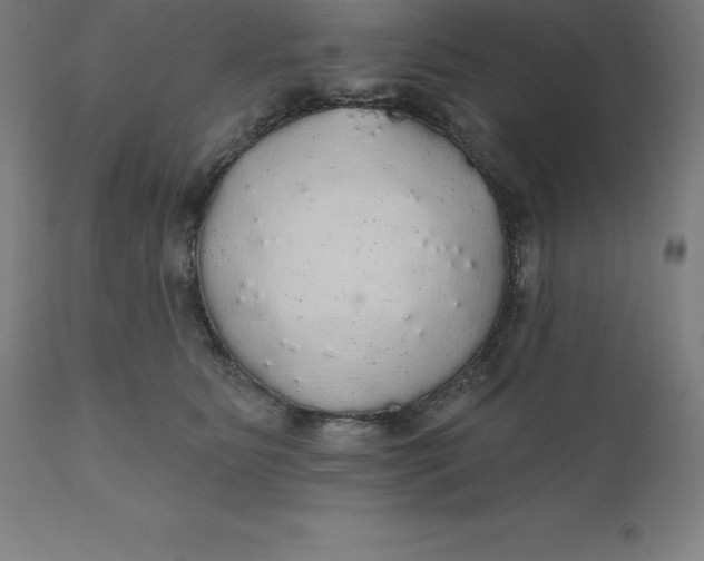 X0000110700515200907022000