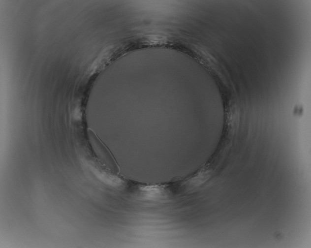 X0000110700516200907022000