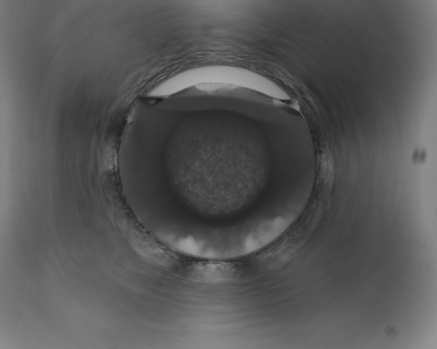 X0000110700517200907022000