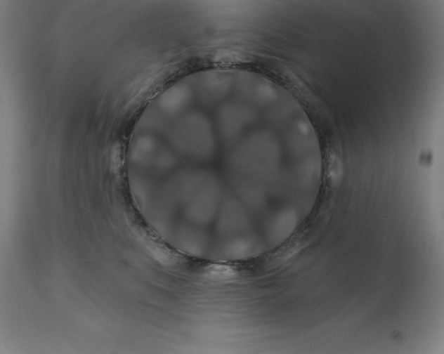 X0000110700519200907022000