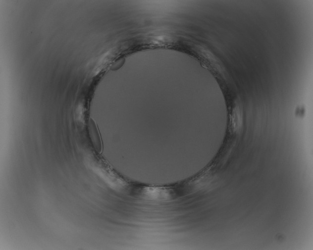 X0000110700520200907022000