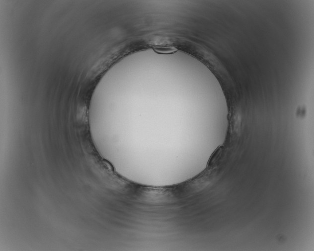 X0000110700521200907022000