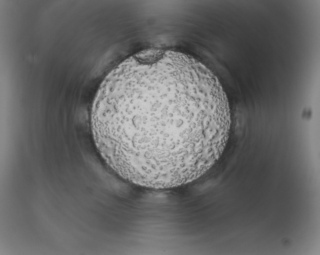 X0000110700523200907022000