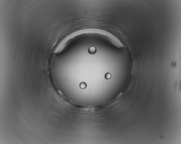 X0000110700524200907022000