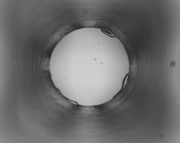 X0000110700525200907022000