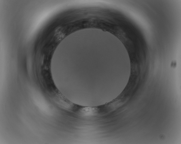 X0000110700526200907022000