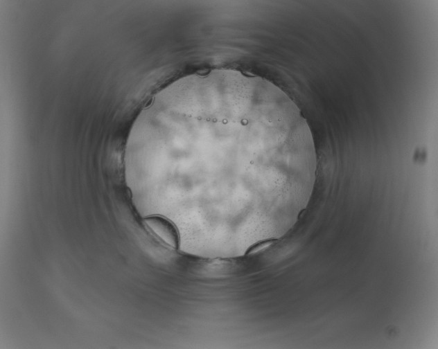 X0000110700527200907022000