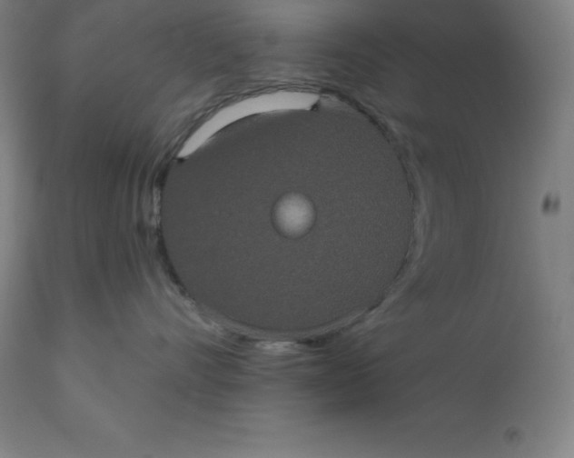 X0000110700528200907022000
