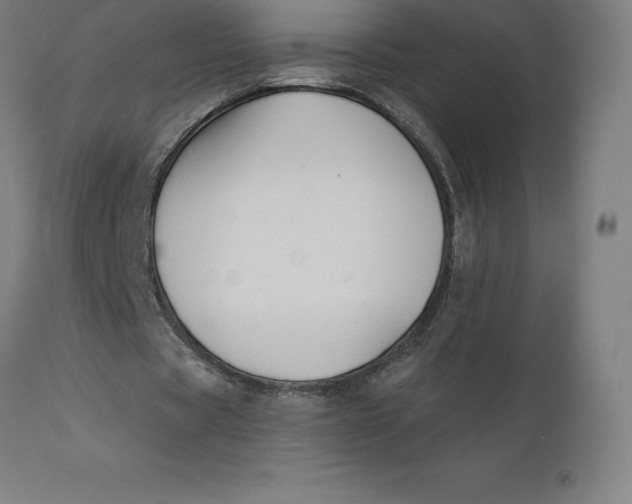 X0000110700529200907021959