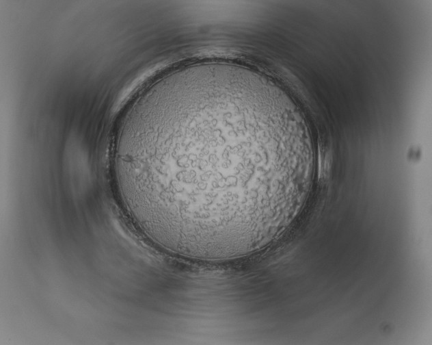 X0000110700531200907021959