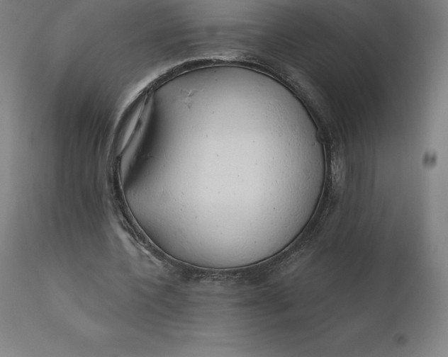 X0000110700532200907021959