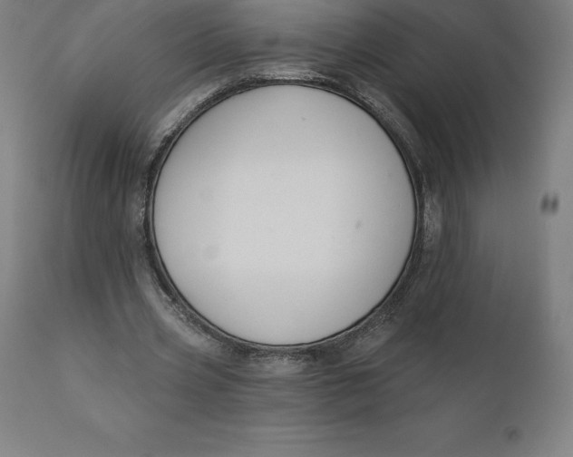 X0000110700533200907021959