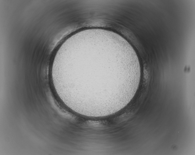 X0000110700534200907021959