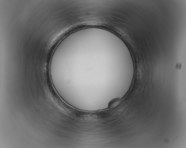 X0000110700535200907021959