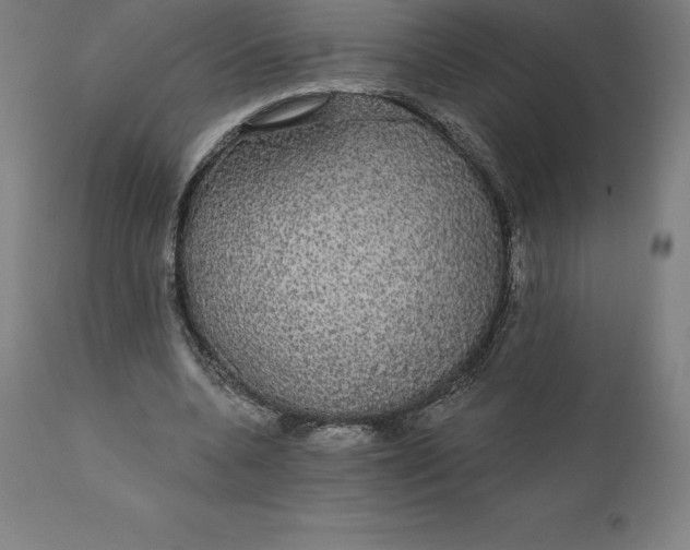 X0000110700536200907021959