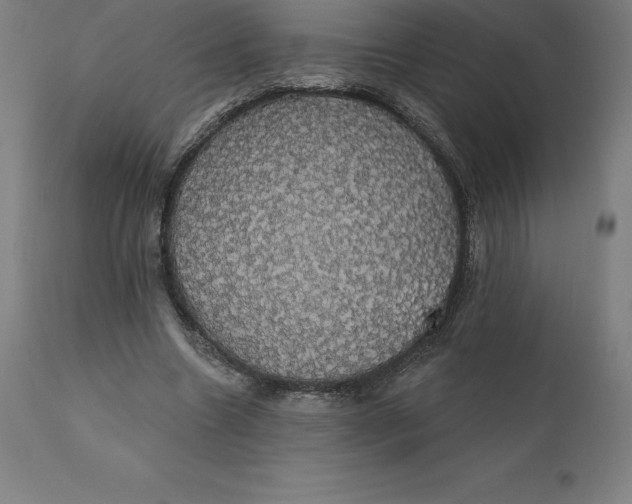 X0000110700538200907021959