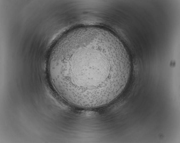 X0000110700539200907022000