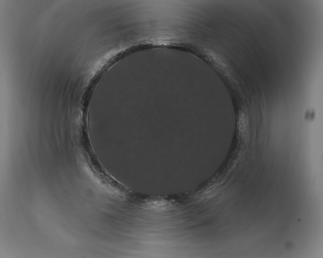 X0000110700540200907022000