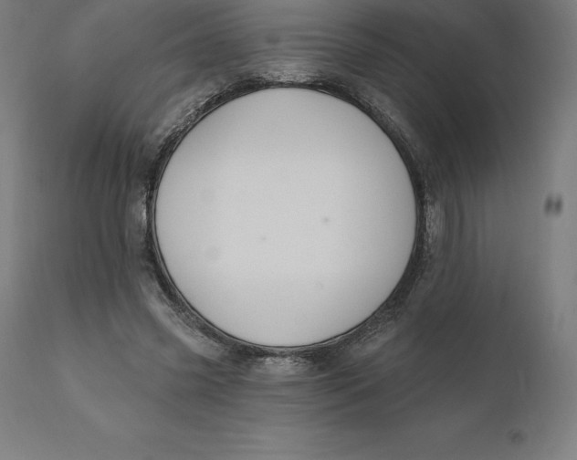 X0000110700541200907022000