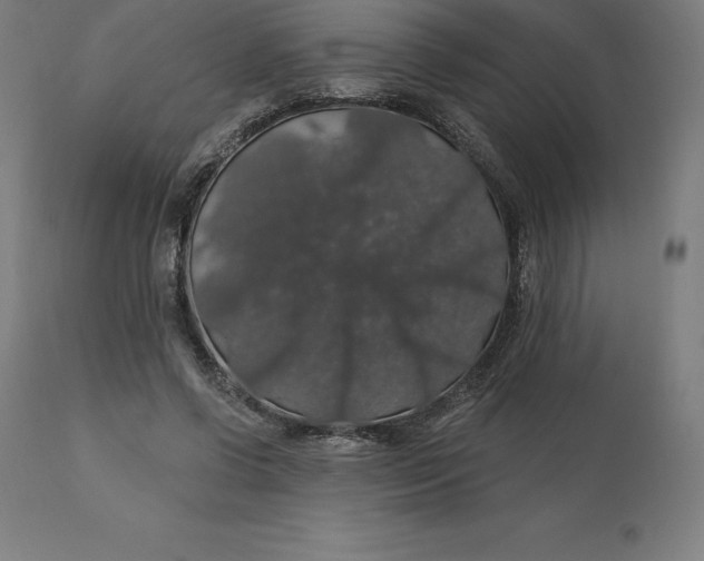 X0000110700542200907022000