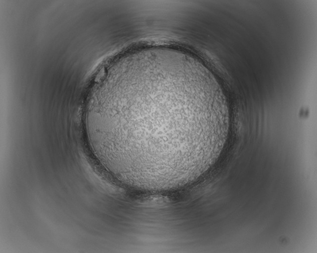 X0000110700543200907022000