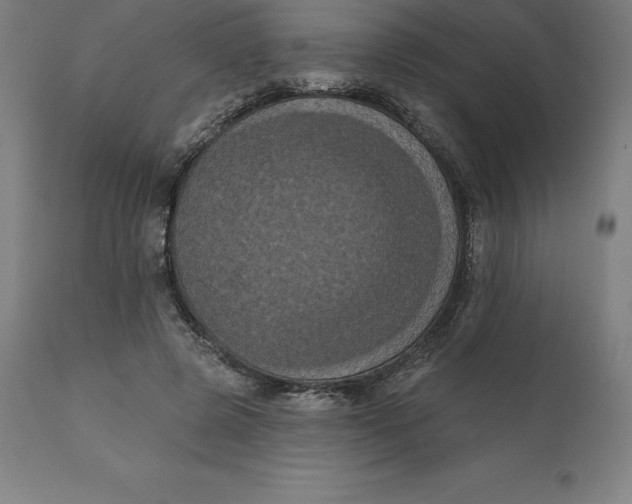X0000110700545200907022000