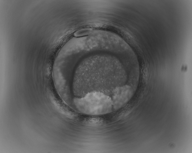 X0000110700546200907022000