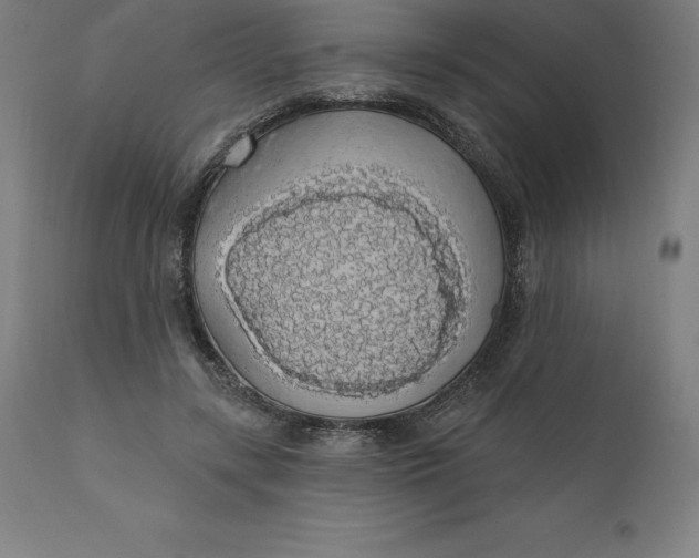 X0000110700547200907022000