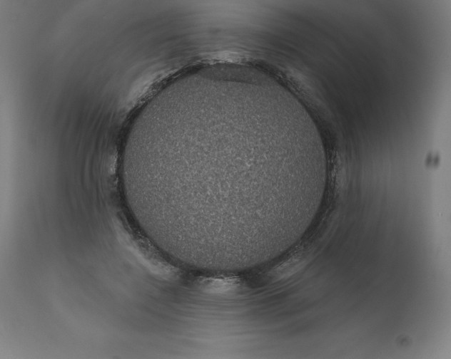 X0000110700548200907022000