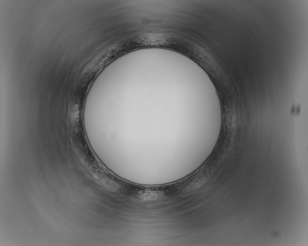 X0000110700549200907022000