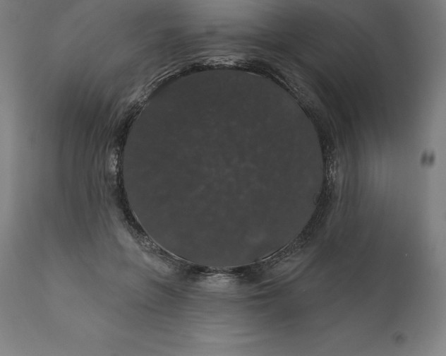 X0000110700551200907022000