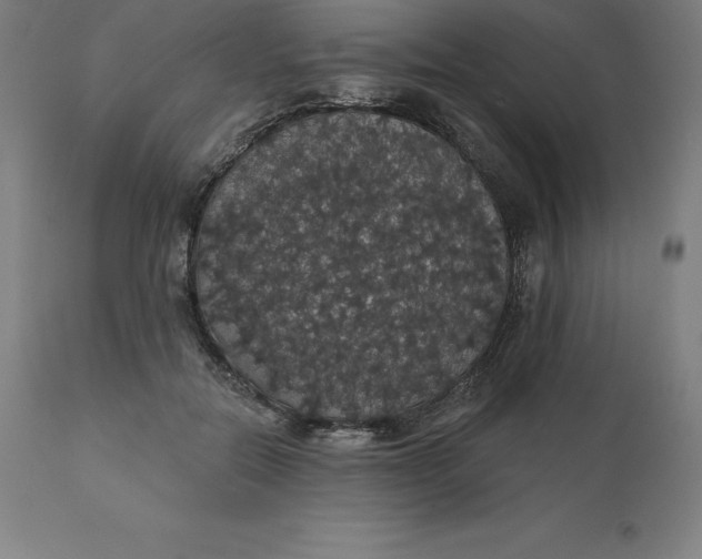 X0000110700554200907022000