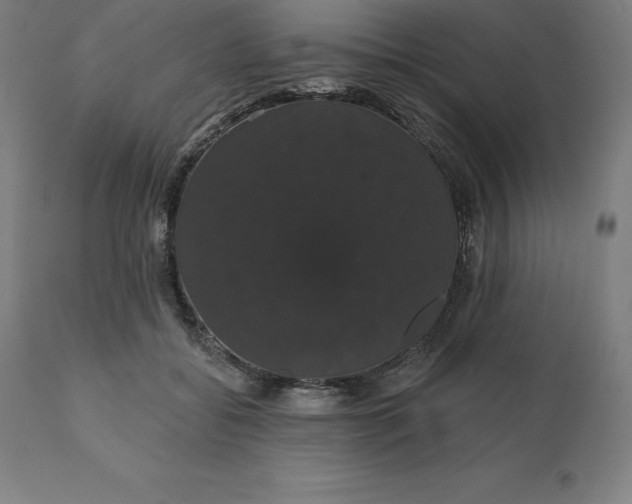 X0000110700556200907022000