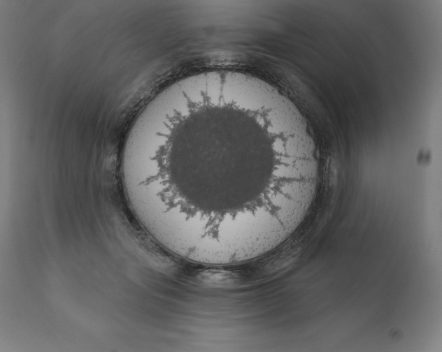 X0000110700557200907022000
