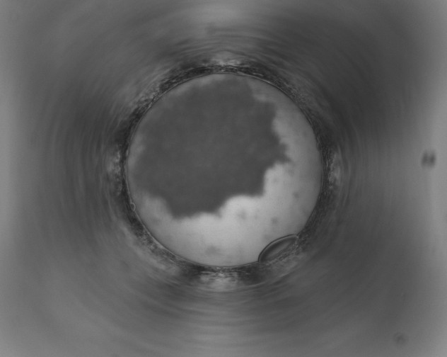X0000110700559200907022000